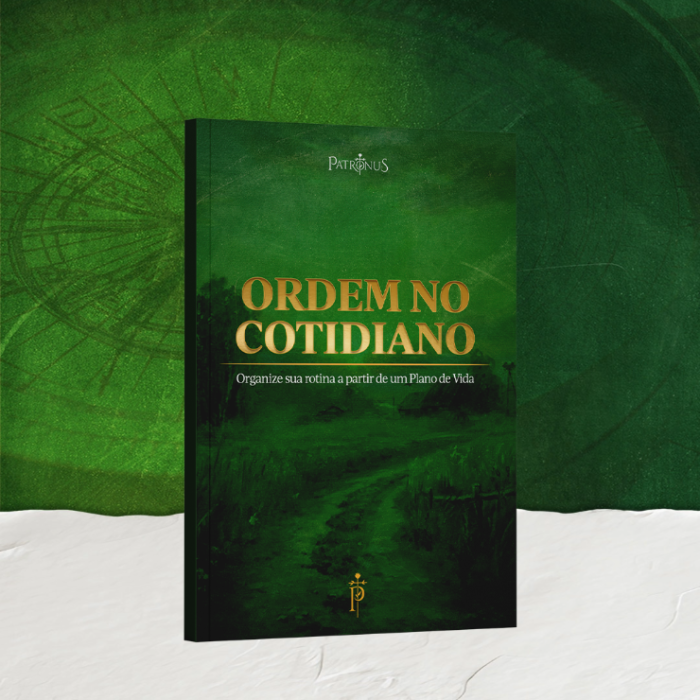 E-book Ordem no Cotidiano